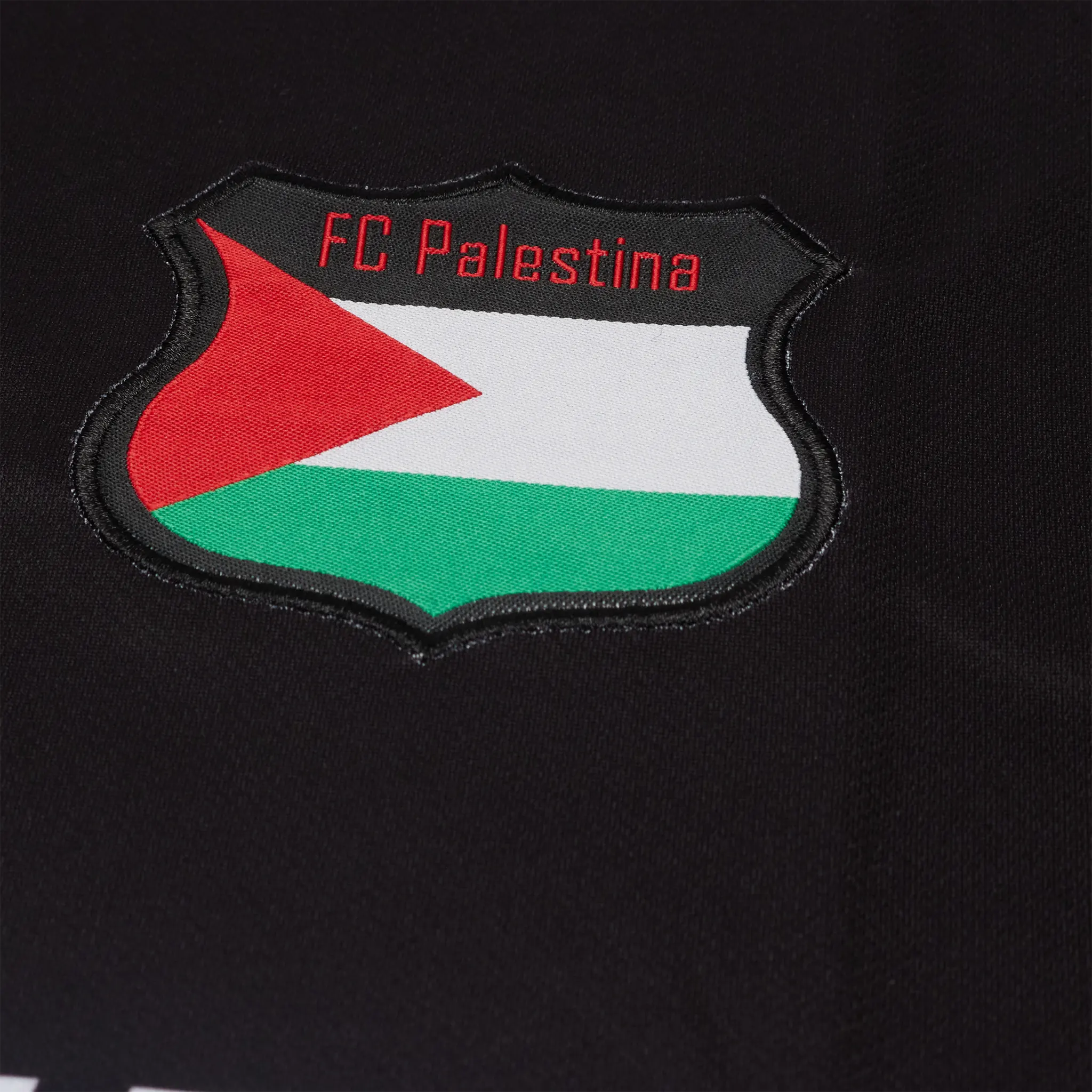 Detailed Logo View of FC Palestina Palestine Red Green Stripe English Black Football T Shirt